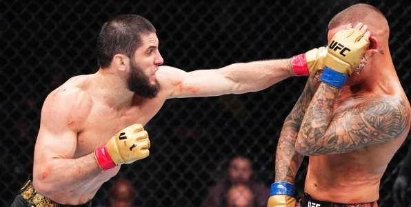Как лучше заключать пари на бои MMA? Гайд по ставкам