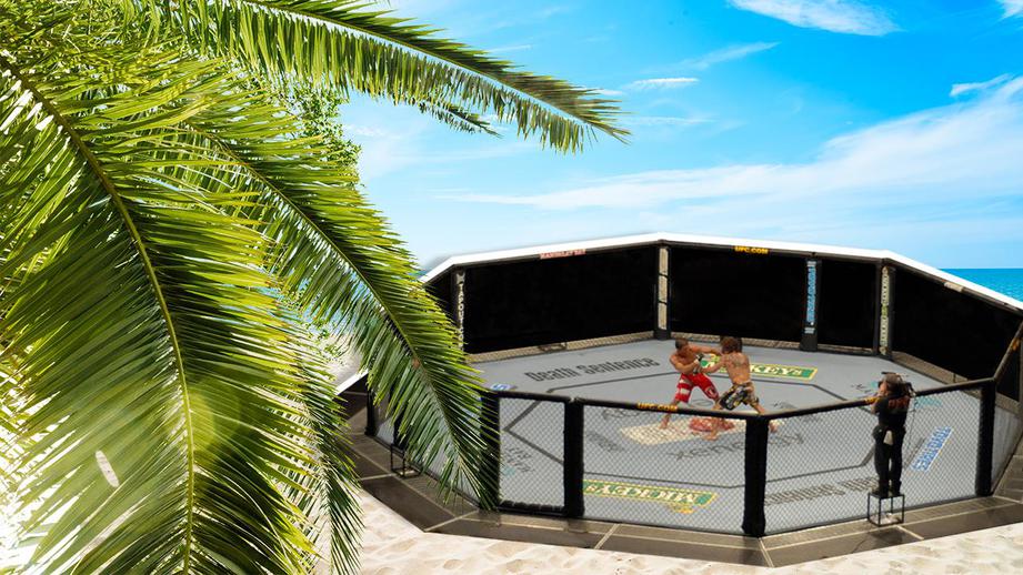 Состоится ли UFC 249 на частном острове? Состоится ли UFC 249 на частном острове?