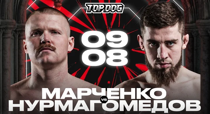 TOP DOG 38 в Казани: заряжай на победу вместе с OLIMPBET
