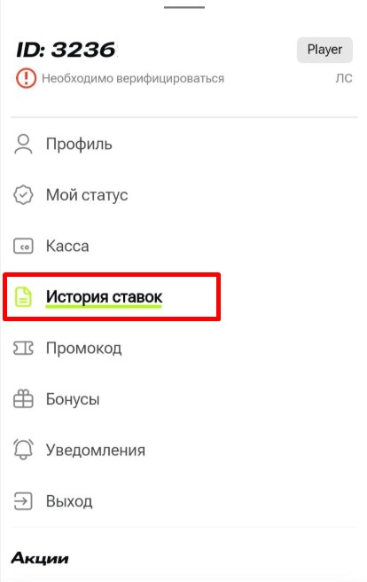 &amp;laquo;История ставок&amp;raquo; в меню приложения Ubet