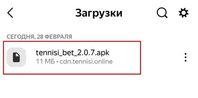 Приложение Тенниси