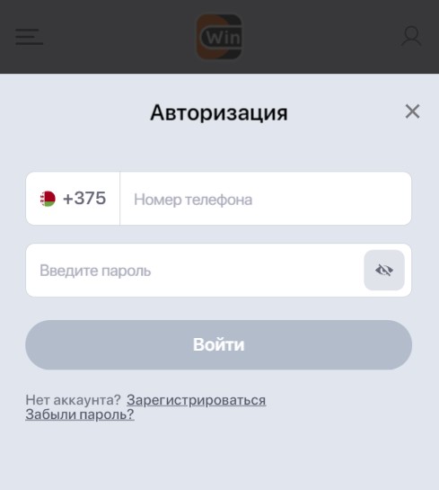 Авторизация в ЛК Винлайн
