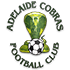 Adelaide Cobras