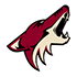 arizona-coyotes