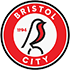 bristol-city