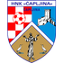 Каплжина