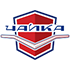 Чайка Чайка