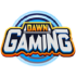 Dawn Gaming Dawn Gaming