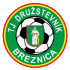 Druzstevnik Breznica