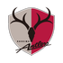 kashima-antlers