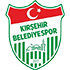 Kirsehir Belediyespor