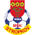 MSK Tesla Stropkov MSK Tesla Stropkov