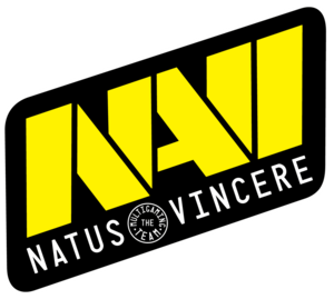 NaVi NaVi