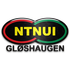НТНУИ