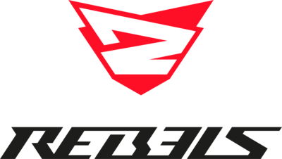 Rebels Gaming