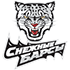 Снежные Барсы Снежные Барсы