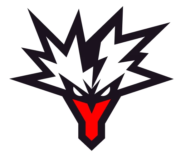 team-yandex