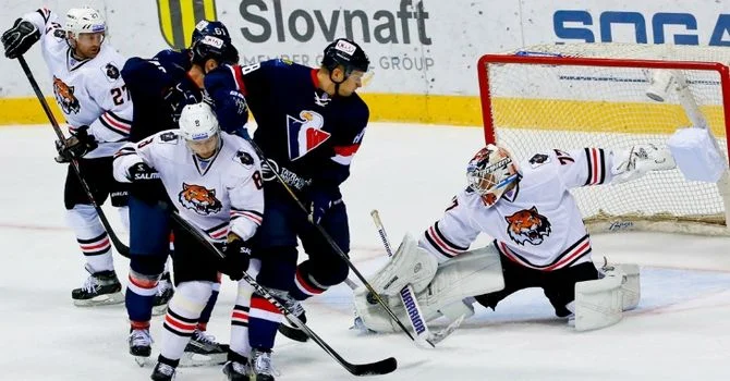 Слован - Амур. Прогноз на КХЛ 25 ноября Слован - Амур. Прогноз на КХЛ 25 ноября