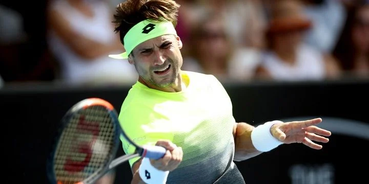 Зверев - Феррер. Прогноз на ATP Роттердам (12.02.2018) Зверев - Феррер. Прогноз на ATP Роттердам (12.02.2018)