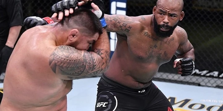 Дон Тейл Майес — Хамди Абдельвахаб. Прогноз (кф 2.34) на UFC (31 июля 2022 года)