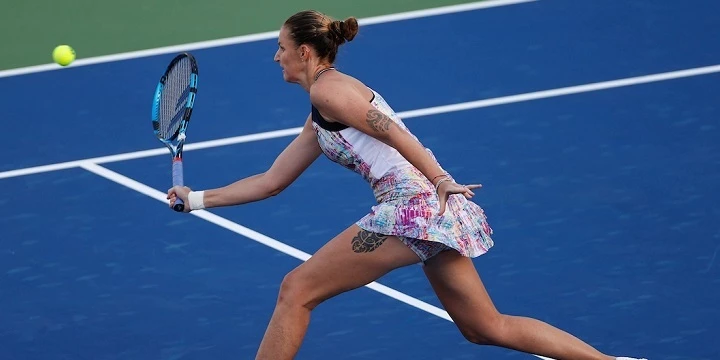 Ангелина Калинина – Каролина Плишкова. Прогноз на матч WTA Дубай (22 февраля 2023 года) Ангелина Калинина – Каролина Плишкова. Прогноз на матч WTA Дубай (22 февраля 2023 года)