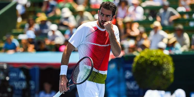 Чилич — Чжан. Прогноз и ставки на матч ATP Ханчжоу (24 сентября 2024 года)
Чилич — Чжан. Прогноз и ставки на матч ATP Ханчжоу (24 сентября 2024 года)