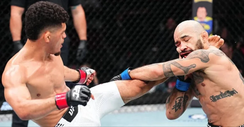 Алден Кориа - Стюарт Николл Алден Кориа - Стюарт Николл