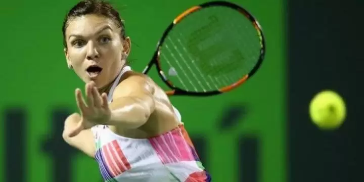 Симона Халеп – Элиза Мертенс. Прогноз на матч WTA Доха (16.02.2019)