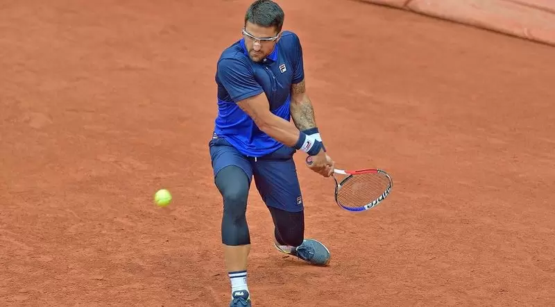 Типсаревич - Димитров. Прогноз на матч ATP Ролан Гаррос (26.05.2019)