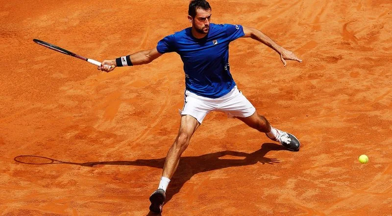 Димитров - Чилич. Прогноз на матч ATP Ролан Гаррос (29.05.2019) Димитров - Чилич. Прогноз на матч ATP Ролан Гаррос (29.05.2019)