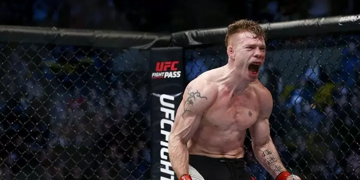 Пол Фелдер — Эдсон Барбоза. Прогноз на UFC (7 сентября 2019 года)