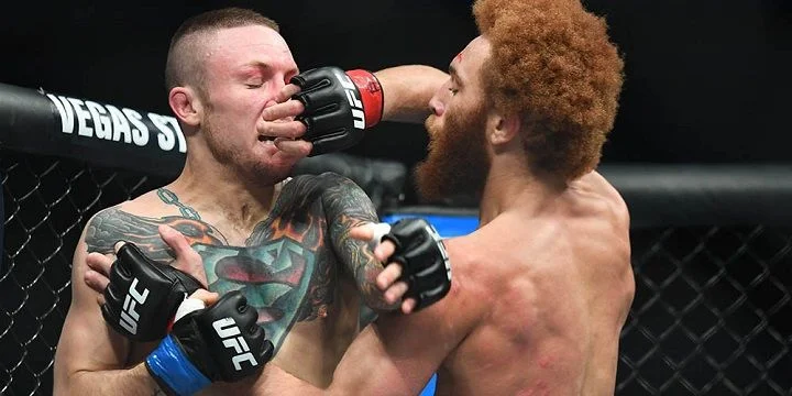 Мартин Браво — Стивен Петерсон. Прогноз на UFC (22 сентября 2019 года)