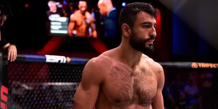 Антонио Арройо — Андре Мунис. Прогноз на UFC (17 ноября 2019 года)